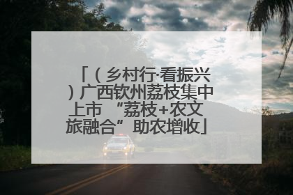 （乡村行·看振兴）广西钦州荔枝集中上市 “荔枝+农文旅融合”助农增收
