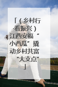 （乡村行·看振兴）江西安福“小西瓜”撬动乡村共富“大支点”