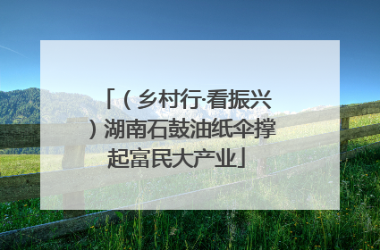（乡村行·看振兴）湖南石鼓油纸伞撑起富民大产业