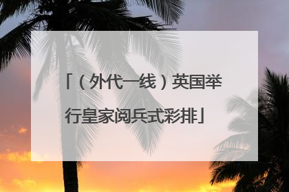 （外代一线）英国举行皇家阅兵式彩排