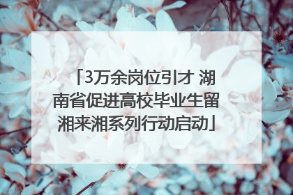 3万余岗位引才 湖南省促进高校毕业生留湘来湘系列行动启动
