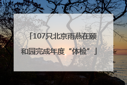 107只北京雨燕在颐和园完成年度“体检”