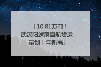 10.81万吨！武汉阳逻港直航货运量创十年新高