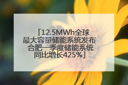 12.5MWh全球最大容量储能系统发布 合肥一季度储能系统同比增长425%