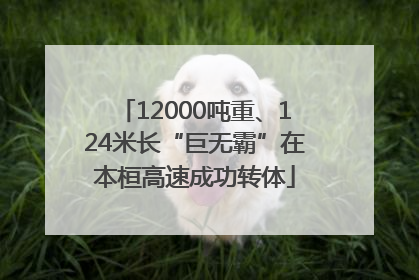 12000吨重、124米长“巨无霸”在本桓高速成功转体