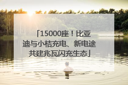 15000座！比亚迪与小桔充电、新电途共建兆瓦闪充生态