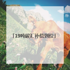 19吨碳汇补偿到位