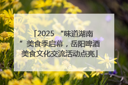 2025 “味道湖南”美食季启幕，岳阳啤酒美食文化交流活动点亮
