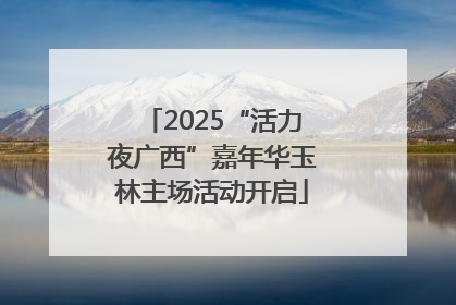 2025“活力夜广西”嘉年华玉林主场活动开启
