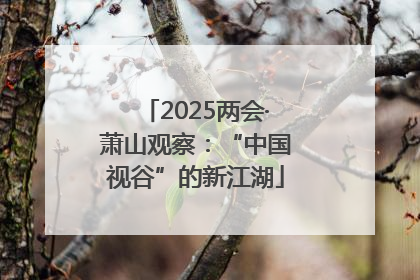 2025两会·萧山观察：“中国视谷”的新江湖