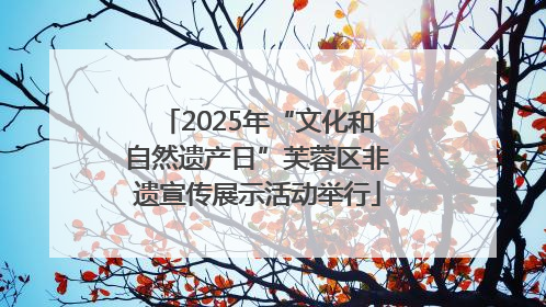 2025年“文化和自然遗产日”芙蓉区非遗宣传展示活动举行