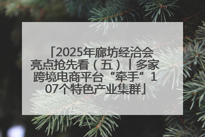 2025年廊坊经洽会亮点抢先看（五）丨多家跨境电商平台“牵手”107个特色产业集群