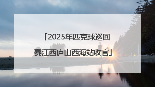 2025年匹克球巡回赛江西庐山西海站收官