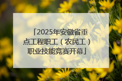 2025年安徽省重点工程职工（农民工）职业技能竞赛开幕