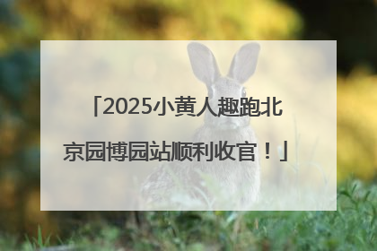 2025小黄人趣跑北京园博园站顺利收官！