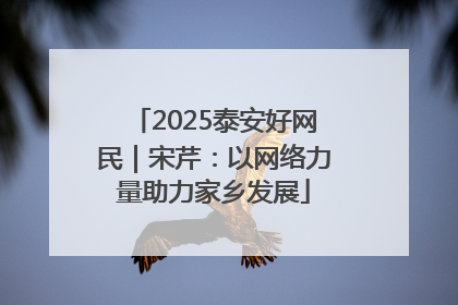 2025泰安好网民｜宋芹：以网络力量助力家乡发展
