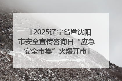 2025辽宁省暨沈阳市安全宣传咨询日“应急安全市集”火爆开市