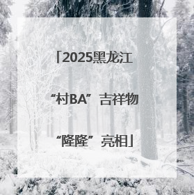 2025黑龙江“村BA”吉祥物“隆隆”亮相