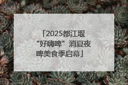 2025都江堰“好嗨啤”消夏夜啤美食季启幕