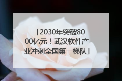 2030年突破8000亿元！武汉软件产业冲刺全国第一梯队