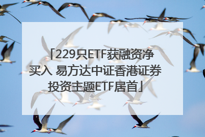 229只ETF获融资净买入 易方达中证香港证券投资主题ETF居首