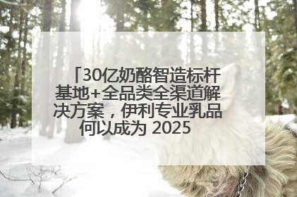 30亿奶酪智造标杆基地+全品类全渠道解决方案，伊利专业乳品何以成为 2025 焙烤展 MV