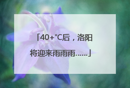 40+℃后，洛阳将迎来雨雨雨……