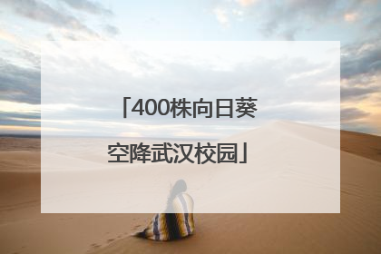 400株向日葵空降武汉校园
