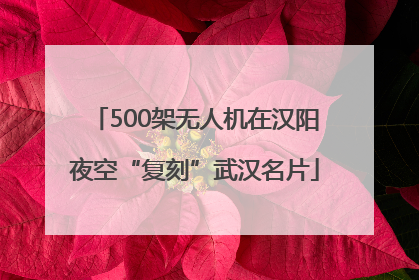 500架无人机在汉阳夜空“复刻”武汉名片