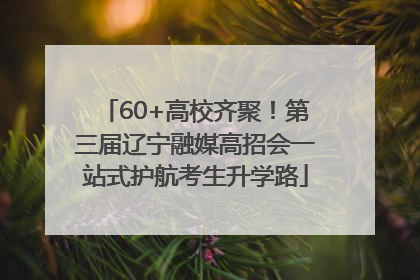 60+高校齐聚！第三届辽宁融媒高招会一站式护航考生升学路