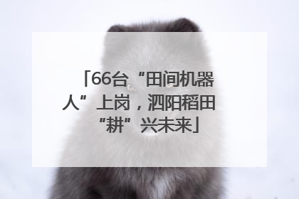 66台“田间机器人”上岗，泗阳稻田“耕”兴未来