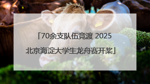 70余支队伍竞渡 2025北京海淀大学生龙舟赛开桨