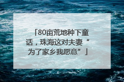 80亩荒地种下童话，珠海这对夫妻“为了家乡我愿意”
