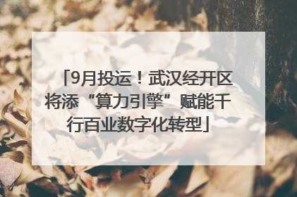 9月投运！武汉经开区将添“算力引擎”赋能千行百业数字化转型