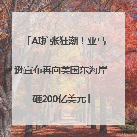 AI扩张狂潮！亚马逊宣布再向美国东海岸砸200亿美元
