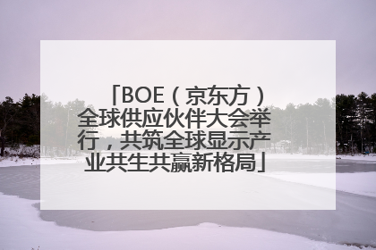 BOE（京东方）全球供应伙伴大会举行，共筑全球显示产业共生共赢新格局