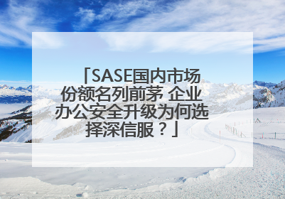 SASE国内市场份额名列前茅 企业办公安全升级为何选择深信服？