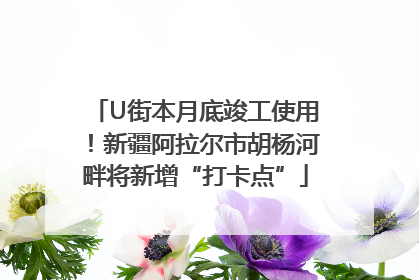 U街本月底竣工使用！新疆阿拉尔市胡杨河畔将新增“打卡点”